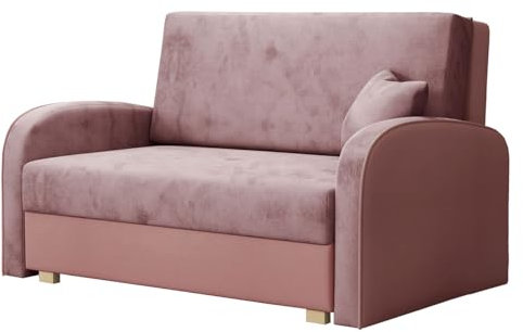 Mirjan24 Sofa Viva Soft II mit Schlaffunktion, Couch 2 Sitzer Polstersofa mit Bettkasten inkl. Kissen, Sofagarnitur, Schlafsofa, Bettsofa, Wohnlandschaft (Mono 235 + Sorriso 10)