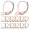 SUNNYCLUE 1 Box 60Pcs Leverback Earring Findings Rose Gold Stainless Steel Earring Hooks Lever Back Ear Wire Leverbacks French Earring Hooks Hypoallergenic Dangle Earwire for jewellery Making Supplies