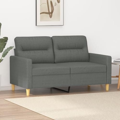 Camerina 2-Sitzer-Sofa Dunkelgrau 120 cm Stoff Kleine Sofa, Mid-Century Moderne Couch, 2er Couch Loungesofa