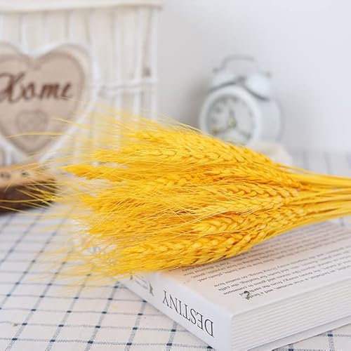 Natürliche getrocknete Blumen-Hochzeits-Gras-Dekor-Gypsophile-Dekoration-Haus getrocknete künstliche Blumen-Dekoration trocken-Keine Vase 033