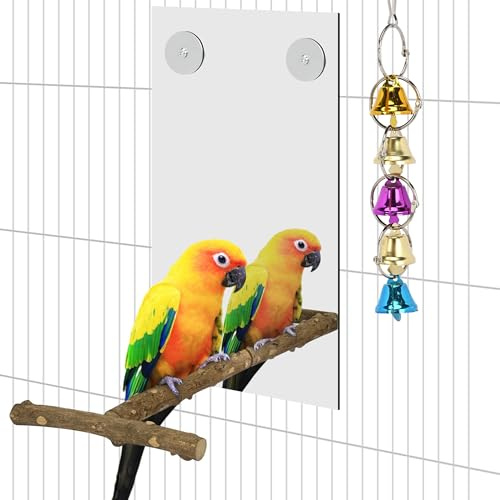 aleawol Papageien Vogelspiegel mit Sitzstange 28x16 cm Spiegel Vogel Papagei mit Barsch Schaukelglockenspiel Holz Vogelspiegel Kanarienvogel für Papagei Wellensittich Nymphensittiche Sittiche