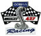 Shelby COBRA T Sports Racing MOTORSPORT Aufnäher Besticktes Patch zum Aufbügeln Applique Souvenir Zubehör