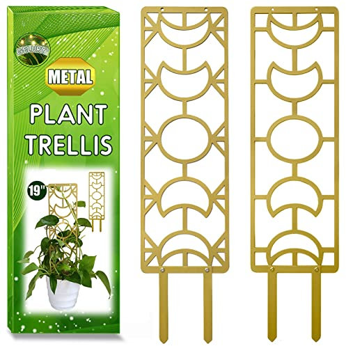 Moon Phase Metallspalier für Kletterpflanzen, 2 Stück, 48,3 cm, Gartenpflanzen-Rankgitter für Zimmerpflanzen, Pflanzen-Rankgitter für Topfpflanzen, Ranken, Pothos, Monstera (Gold)