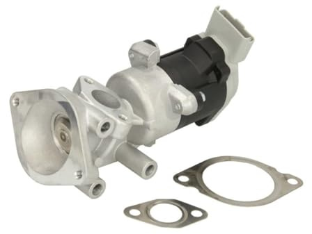 DELPHI EG10640-12B1 AGR-Ventil Abgasrückführungsventil ohne AGR-Kühler Kompatibel mit LAND ROVER Range Rover Sport L320 LR004533 LR006960 LR006988
