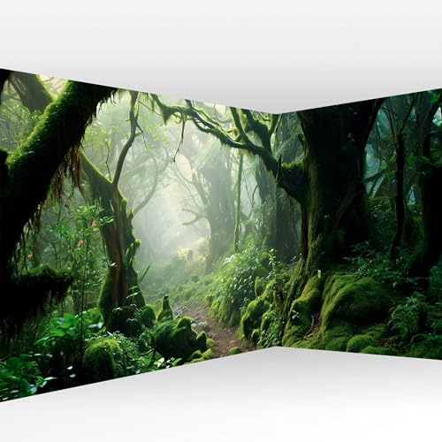 murando PREMIUM Vlies Eckfototapete Wald Landschaft 539x250 cm Tapeten Wandtapete XXL Moderne Fototapete Wanddeko Design Wand Dekoration Wohnzimmer Schlafzimmer Büro Flur Natur Landschaft
