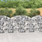 Générique Panier de gabions arqué 150x30x100/120 cm Fer galvanisé,Maison & Jardin,Pelouses & Jardins,Jardinage,Pots & Cache-Pots,Argent,37.04 LB,153445