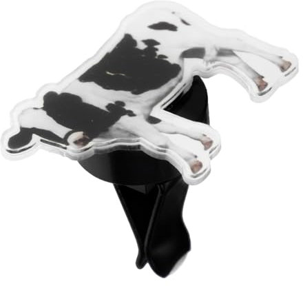 JECOMPRIS Dekoration Für Klimaanlagenauslass Dashcam Auto Auto Innenraum Deko Stecktafel Autodeko Diffusor Auto Steckdose Armaturenbrett Dekorationen Autoclip Aroma-clip Acryl