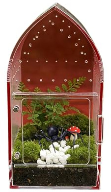 Terrarium für Eidechsen – Käfig transparent Zucht | Terrarium für Frösche | Per, Schnecke, Krabbe, Schmetterling, Reptilien, Amphibien, Haustiere, Ernährung, Haus, Klasse, Labor