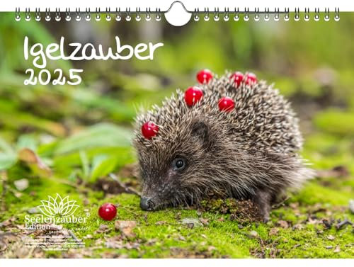 Igelzauber DIN A4 Kalender für 2025 Igel - Seelenzauber