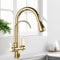 FQYEP 3 Way Kitchen Tap with Water Filter 360° Rotation 2 Modes Kitchen Mixer Tap with Pull Out Spray Gold