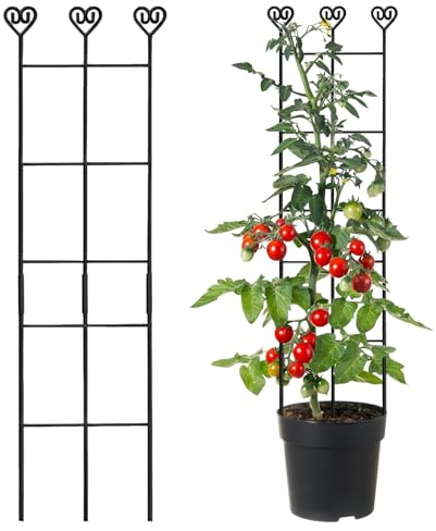 Monstera Kletterhilfe Verstellbare Rostfreie Metallstangen