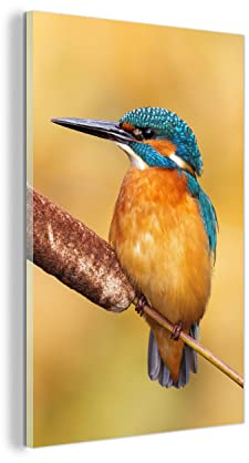 MuchoWow Glasbild Glasfoto Wandbild Bilder Deko 40x60 cm Eisvogel - Natur - Vogel