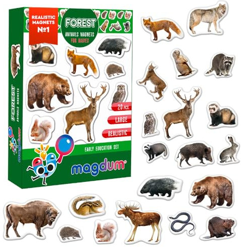 Magdum 20 Waldtiere Foto Magnete Kinder für magnettafel - Magnet Spielzeug Kinder - Kühlschrankmagnete Kinder - Kühlschrank Magnete Set Kinder -Spielzeug ab 3 Jahre - Lernspiele ab 3 Jahre