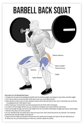 FMSKY Squat Anatomie-Diagramm, Bewegung, Leinwand, Poster, Schlafzimmer-Dekor, Sportlandschaft, Büro, Raumdekoration, Geschenk, ungerahmt, 30 x 45 cm