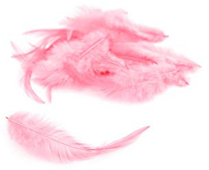 3g Hahnenkreuz Federn ca. 8-13cm (rosa 148) // Dekofedern Bastelfedern Federn Hahn Natur Schmuckfedern Vogelfedern Hahnenfedern