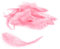 3g Hahnenkreuz Federn ca. 8-13cm (rosa 148) // Dekofedern Bastelfedern Federn Hahn Natur Schmuckfedern Vogelfedern Hahnenfedern