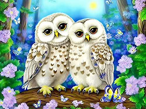 Bimkole DIY 5D Diamond Painting Zubehör Eule, Tierische Blumen Diamant Malerei Kit Voll Runde Bohrer Malen nach Zahlen Malerei Stickerei Kreuzstich Diamond Dekoration 30X40 cm