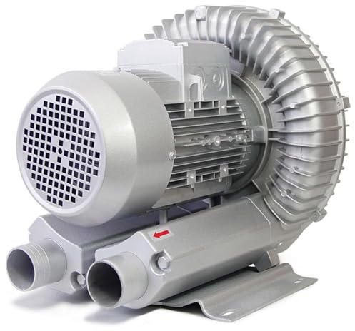 Bomba Soplante Monofásica, Bomba de Agua para Piscina y Jacuzzi, Depuradora Piscina,220V-370W