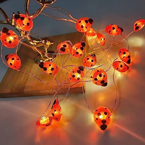 YeahBoom Marienkäfer Lichterkette,300CM 20LED Käfer Leucht Batteriebetrieben,Marienkäfer Lichterkette Deko für Innen und Außen,Frühling Deko für Garten Blume Balkon Terrasse Party Weihnachten