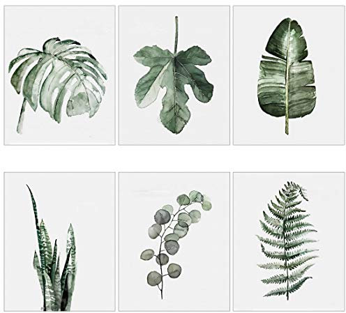Meishe Art Poster Moderne Plakate Drucken Plakatdruck Kunstdrucke Tropische Der Aquarellmalerei Botanische Pflanzen Grüne Blätter Monstera Fern Beliebt Zu Hause Wand Dekor 6pcs