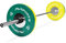 OLYMPIA SET PROFESSIONAL STUDIO - Olympia Hantelstange mit Verschluss + Gewichtsscheiben auswählbar - Olympia Hantelscheiben (Olympia Stange inkl. Verschlüsse + 50 kg)