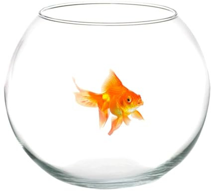 Trade Shop - Ampolla Boccia per Pesci in Vetro 12 Cm Acquario Pesce Rosso Centrotavola