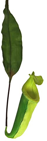 artplants.de Rama Decorativa de Nepenthes JIANUO con Jarra, Verde, 65 cm - Planta carnívora Artificial