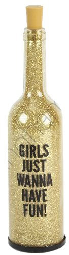 Light UP Bottle Girls Fun Gift Glass Fairy 34CM Xmas Decoration LED Lights New