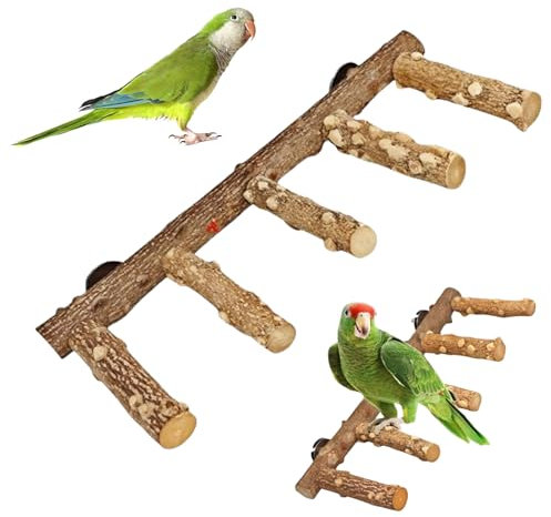 GOEDCH Supporto per Uccelli a Gradini: Legno Naturale Gabbia per Uccelli Scala, Supporto in Legno Naturale per Uccelli, Posatoi per Uccelli Legno per Pappagalli, Parrocchetti, Calopsitte, Conuri