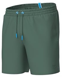 Arena Men's Men's Arena Beach Boxer Solid Beach Short