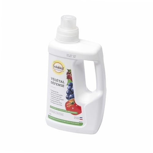 Solabiol Abkochung von Schachtelhalm 1L