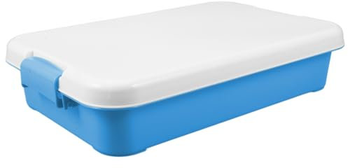 Toyvian Boys and Girls Portable Plastic Sand Tray with Lid Small Sandbox for Outdoor Activities Includes Toy Storage Box and Molds for Creative Play