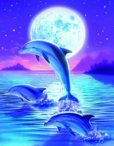 Bougimal 5D Diamant Painting Bilder Delfin, DIY Diamant Malerei Full Erwachsene für Wall Decoration Geschenk,40X50cm