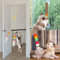 FINEVERNEK Interaktives Katzenspielzeug Angel mit Feder, Spielzeug für Katzenfedern mit elastischer Riemen, Federspielzeug selbstbeschäftigung, Katzenspielzeug zum Aufhängen an der Wand mit Haken