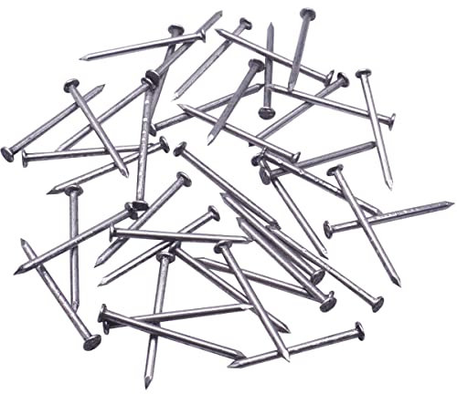 SKIR'CO Lot de 400 clous de construction à tête ronde et plate en acier - 1,6 x 25 mm - Clous en fil commun multi-usages pour bois