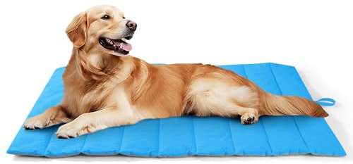 UNIKOME Hundedecke für Unterwegs rutschfeste Antistatische und Langlebige Hundematte, Hundekissen Waschbar Mittelgroße und Kleine Hunde, Reisebett Hund für Reise Outdoor (Blau+Grau, 110 * 68cm)