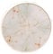 KOMBIUDA Marble Lenses Case Holder Portable Storage Box for Home and Travel Lightweight Clamshell Design Safe Material Color for