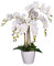 AMERIQUE Künstliche Phalaenopsis-Orchidee, Seidenblumen mit echten Blättern, 6,4 cm, Weiß