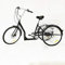 Fetcoi 26 Zoll Dreirad für Erwachsene 6-Gang 3-Rad Premium-Fahrrad mit Einkaufskorb für Reisen, Radfahren und Einkaufen