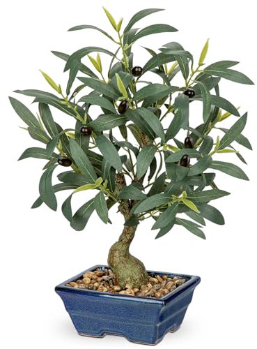 Hollyone Pianta artificiale di ulivo, 44 cm, pianta in plastica in vaso di ceramica, piccole piante artificiali come reali, piante da appartamento artificiali, con rami d'ulivo e frutti, per