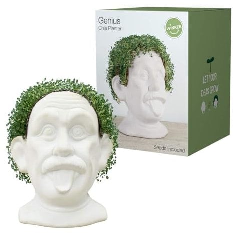 Winkee - Chia Genie I Chia Pflanztier als Keramik Büste I Anzuchtschale zum Chia Samen Züchten I Chia Seeds Starter Kit