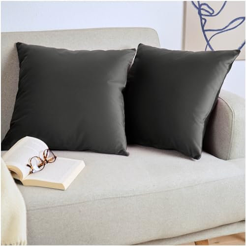 Blumtal 2er Set Kissenbezug 40x40 cm Anthrazit - dekorativer Samt Kissenbezug mit verstecktem Reißverschluss, Kissenhülle für Zierkissen Deko-Kissen Polster Sofakissen & Couchkissen, waschbar