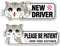 Student Driver Please Be Patient Magnet Aufkleber Sicherheitsschilder für neue Fahrer Magnet für Auto, Student Driver Magnet für Auto für Mädchen, Student Driver Schilder für Auto