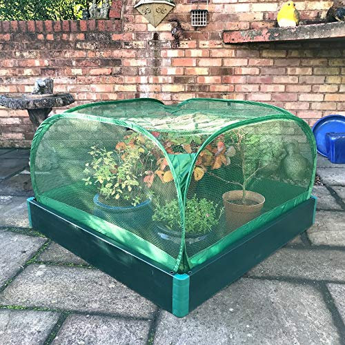 Allotmenteer Garden Raised Bed & Fruit Cage Plant Cover Grow Kit - 1 x 1 x 0.8m H