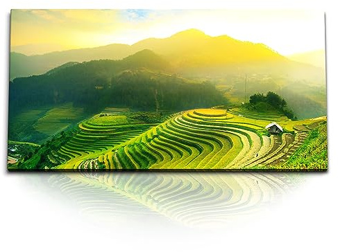 Paul Sinus Kunstdruck Bilder 120x60cm Vietnam Reisfelder Grün Natur Berge Reisanbau