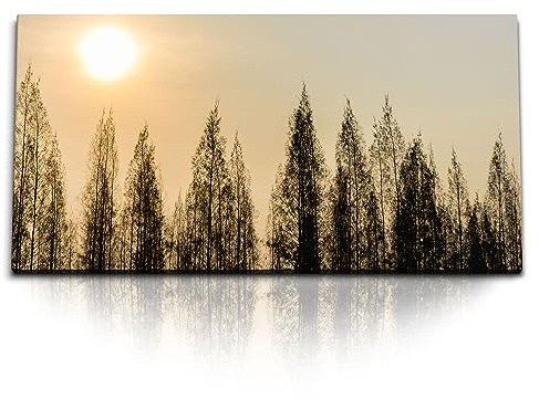 Paul Sinus Kunstdruck Bilder 120x60cm Wald Bäume Sonne Natur Abenddämmerung Himmel