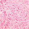 Mamiddle Papier Déchiqueté Raffia 50g - Remplissage Cadeaux Écologique pour Paniers, Boîtes Cadeaux et Décoration de Fête (Rose)