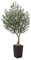VeriNatural Olivo Artificial Grande de 180 cm - Planta Decorativa Realista con Frutas, Maceta Cónico Marrón, Resistente a UV - Árbol Artificial de Interior y Exterior para Hogar Oficina Balcón, VN137