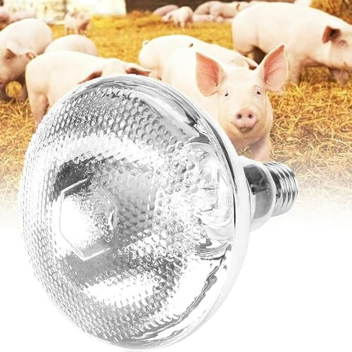 Lampada Riscaldante for Pulcini, Lampada Riscaldante Lampadine A Infrarossi, Eccellente Fonte Di Calore E Luce for UV E Crogiolarsi, Lampada Riscaldante for Pulcini Da Allevamento, Terapia Della Luce