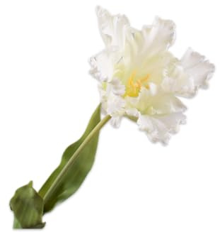 Silk-ka Kunstblume Seidenblumen-Tulpenstiel, weiß-gelb, 71 cm